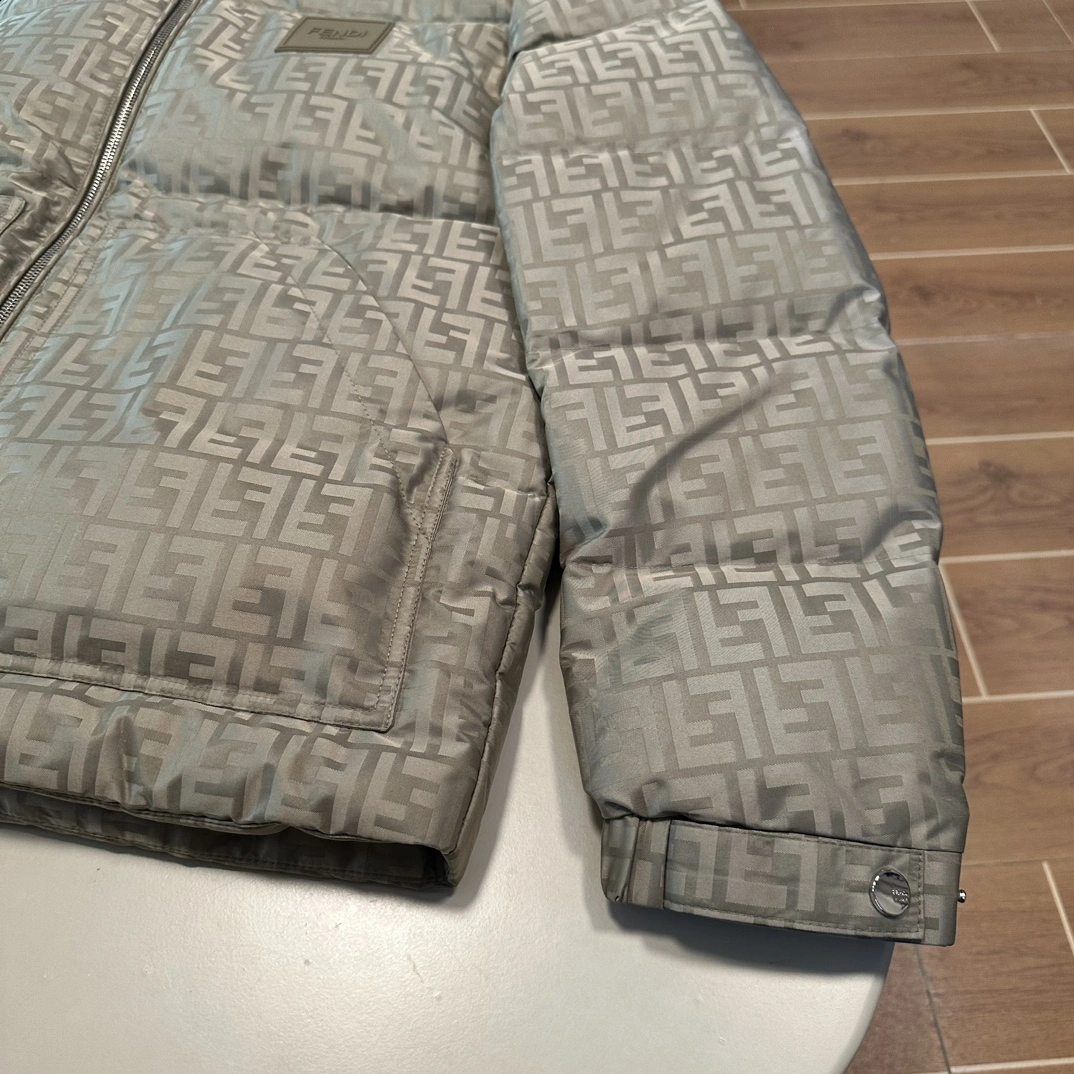 Modern Fendi Down Jackets 123445