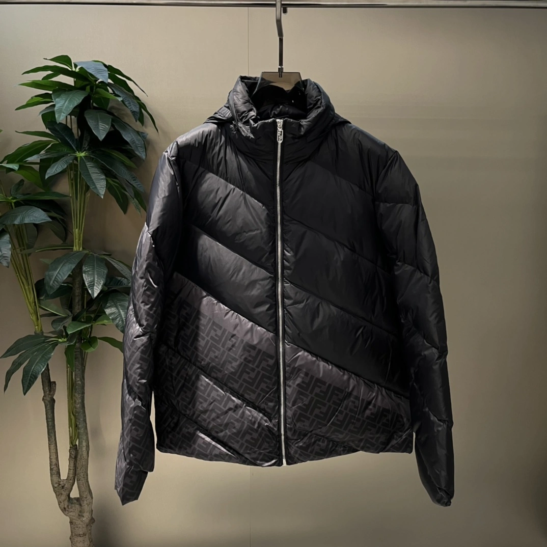 Fendi Down Jackets Attractive 123444