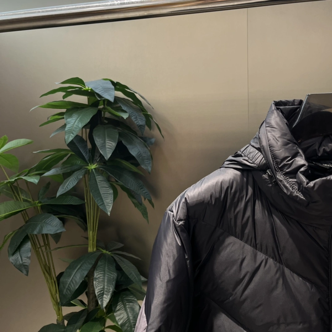 Fendi Down Jackets Attractive 123444