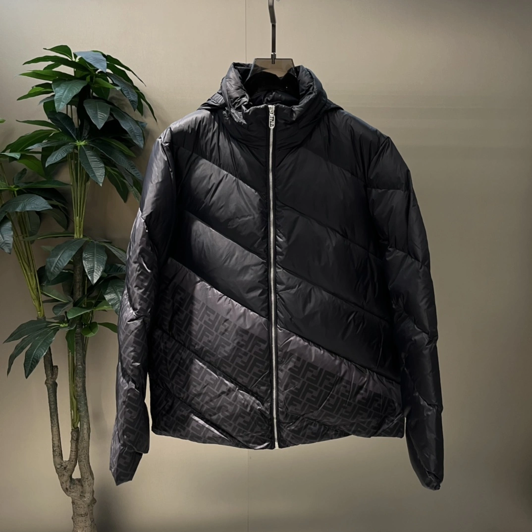 Fendi Down Jackets Attractive 123444