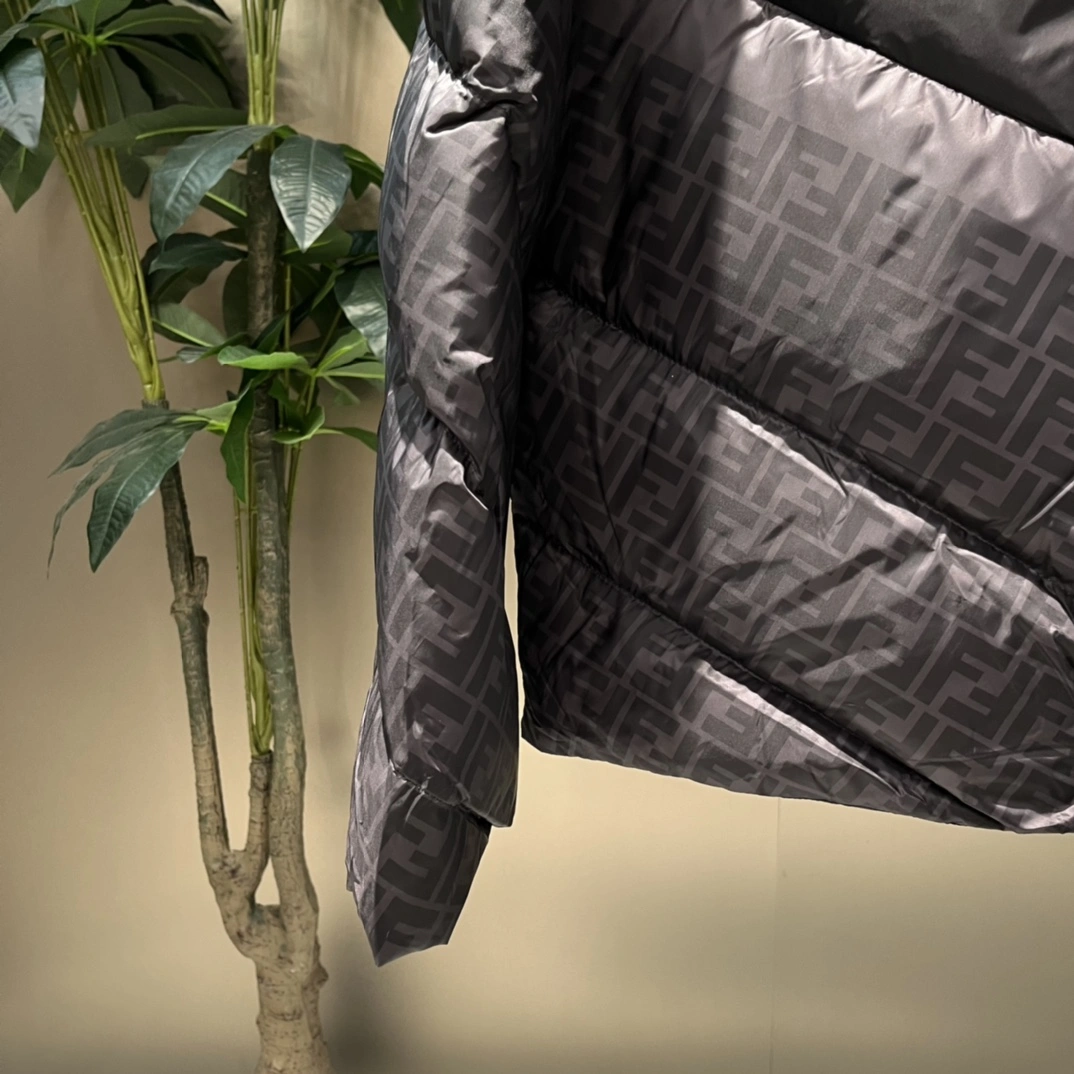 Fendi Down Jackets Attractive 123444