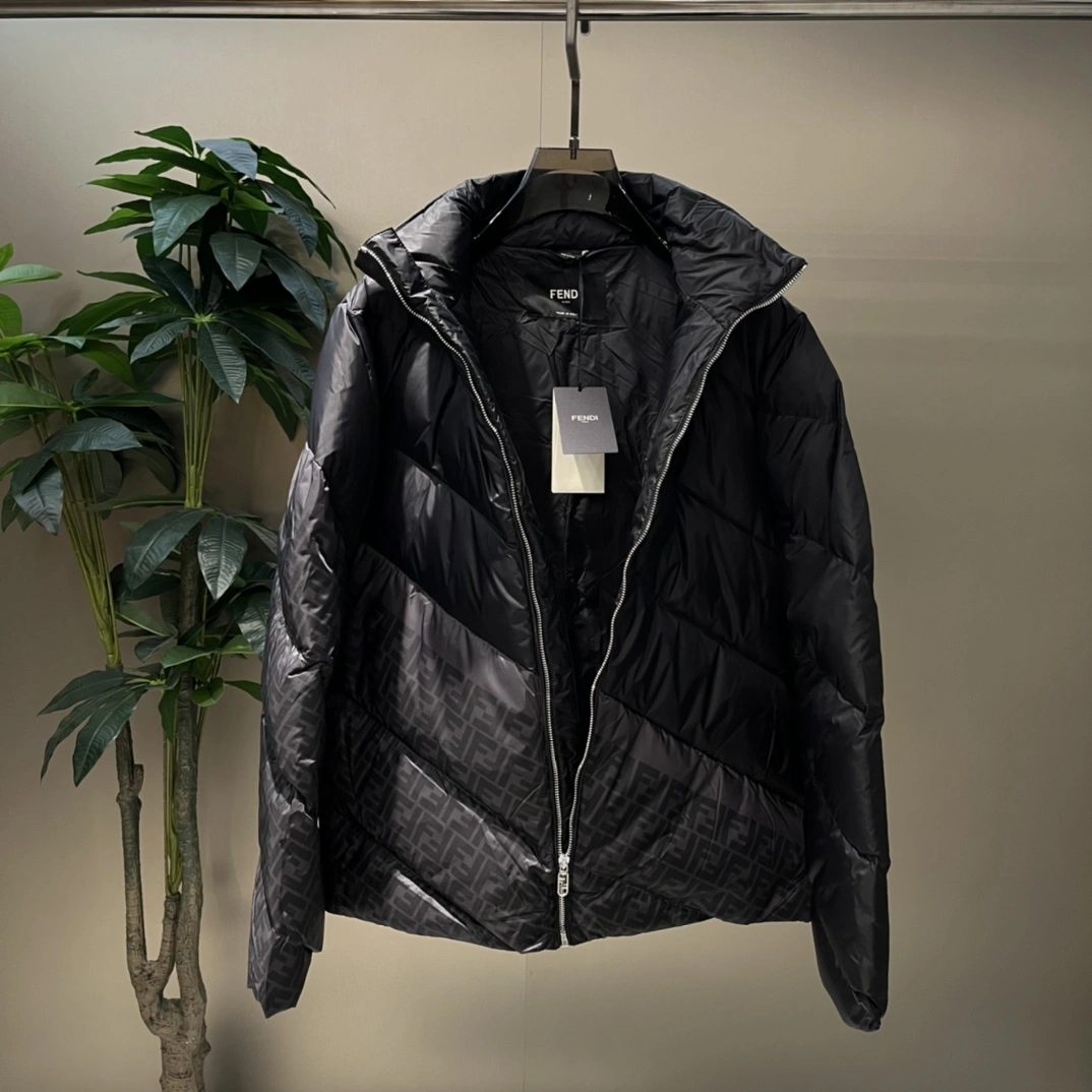 Fendi Down Jackets Attractive 123444