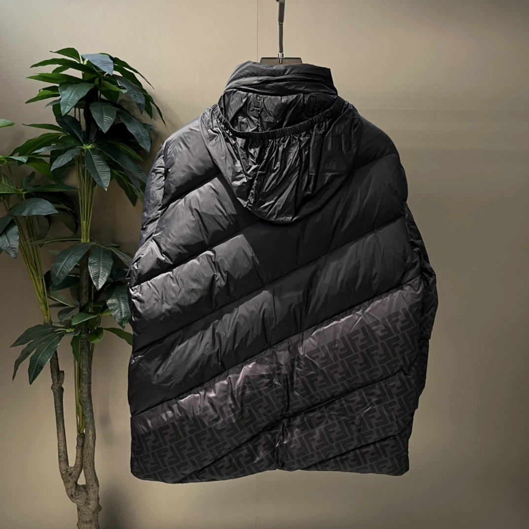 Fendi Down Jackets Attractive 123444