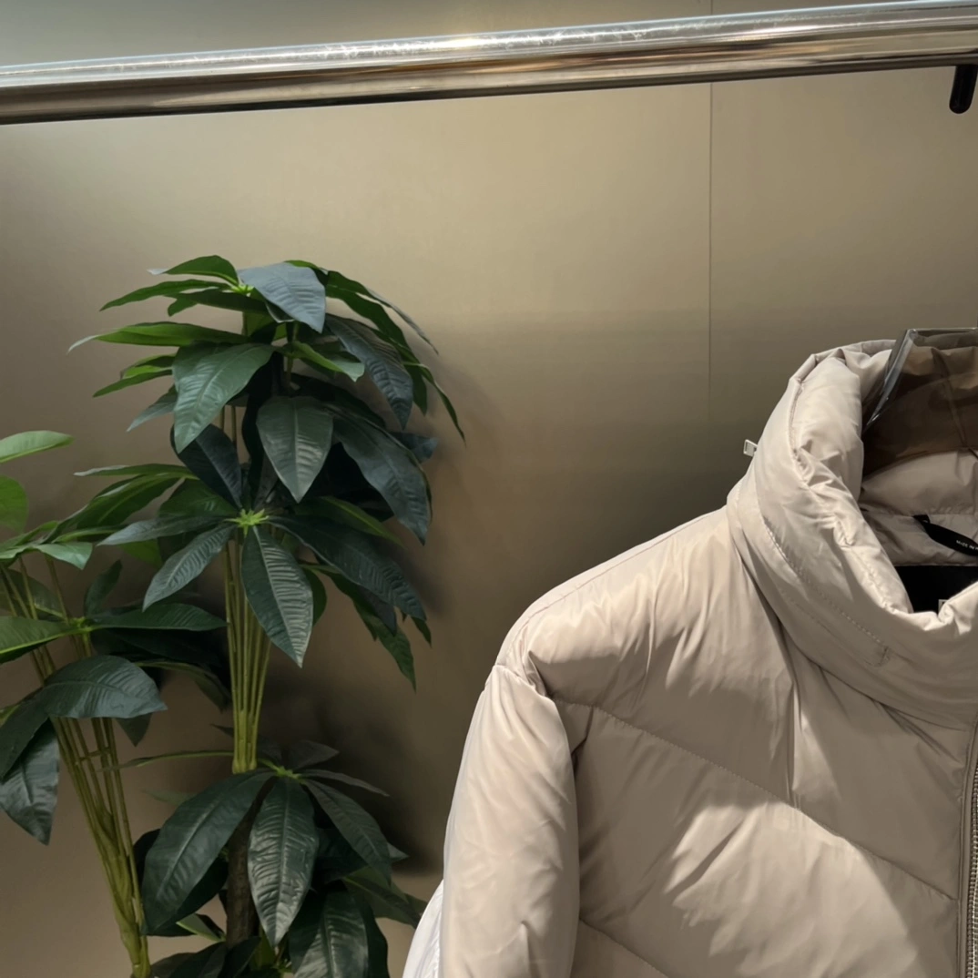 GoAnywhere Fendi Down Jackets 123431