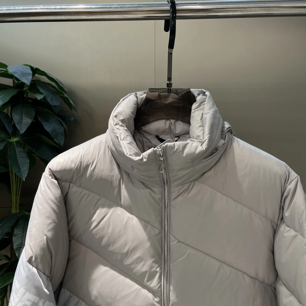 GoAnywhere Fendi Down Jackets 123431