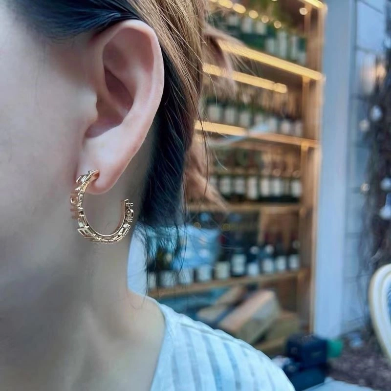Fendi Earrings Popular 209353