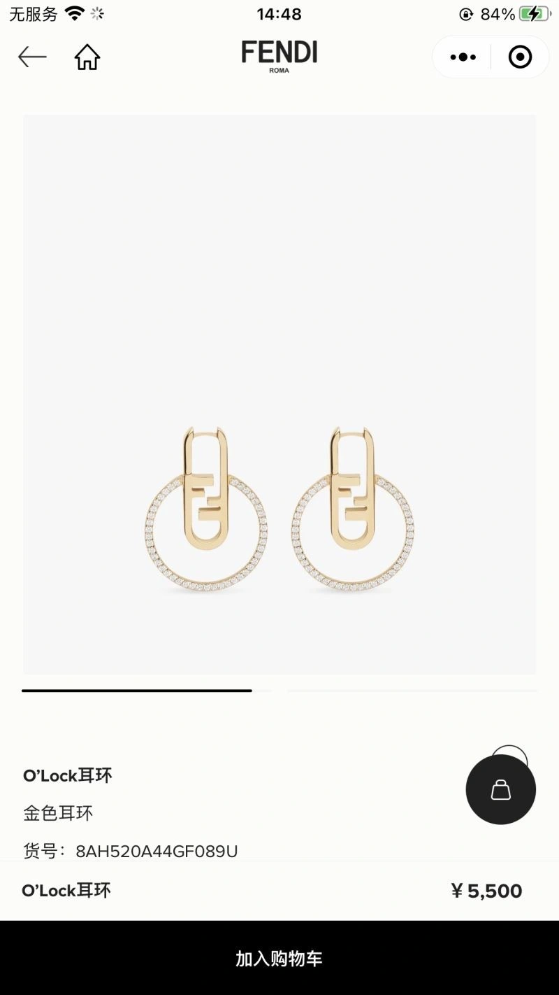 Bright Fendi Earrings 209355