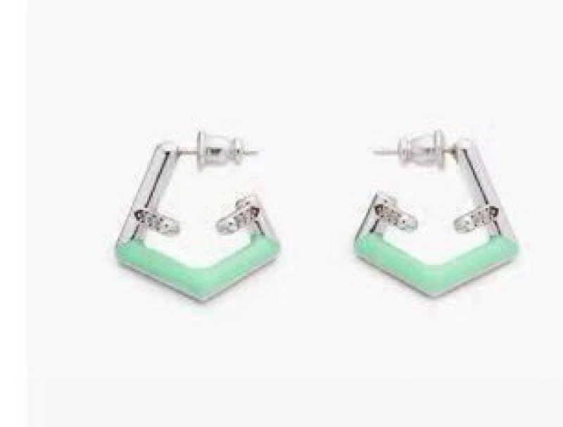 Durable Fendi Earrings 208766