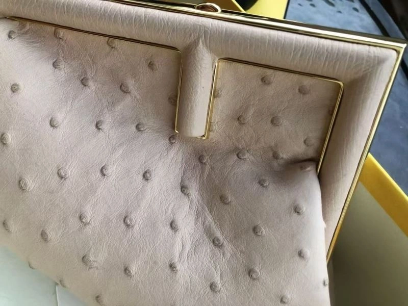 Fendi First Bags FreshLook 57963
