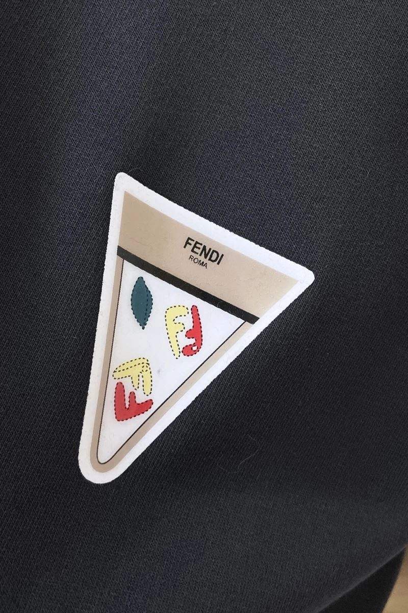 TravelReady Fendi Hoodies 123347