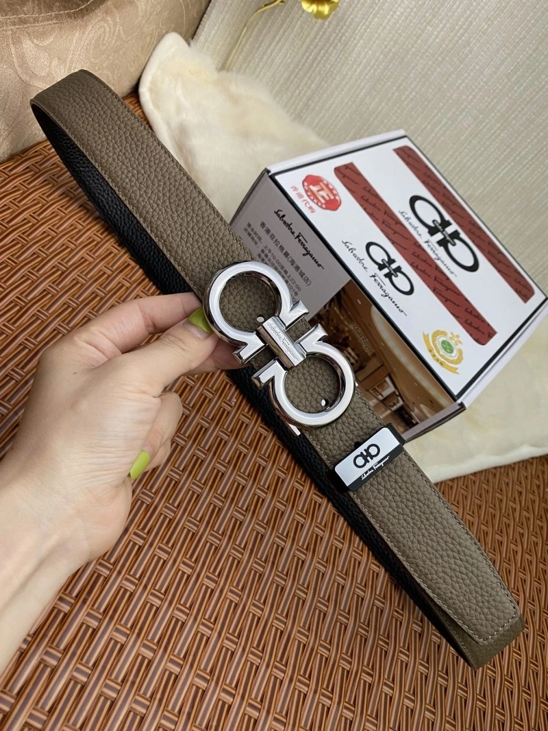 AllSeason Ferragamo Belts 287529
