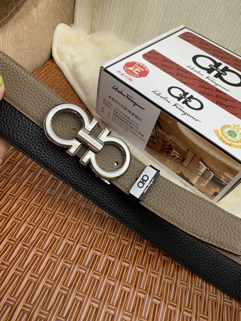AllSeason Ferragamo Belts 287529