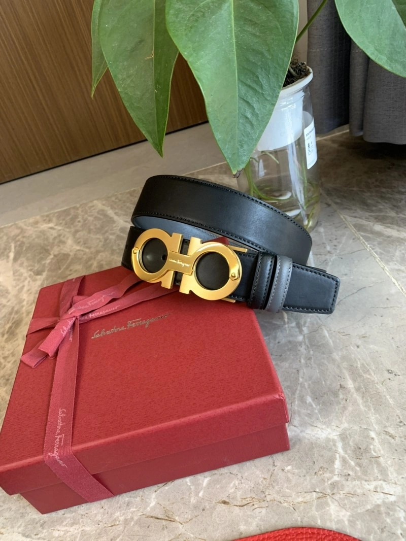 WrinkleFree Ferragamo Belts 289061