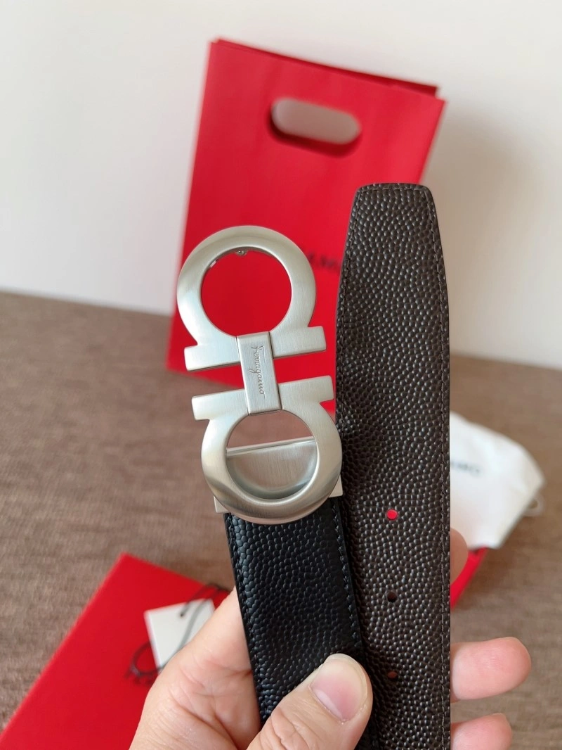 Ferragamo Belts Bright 288992