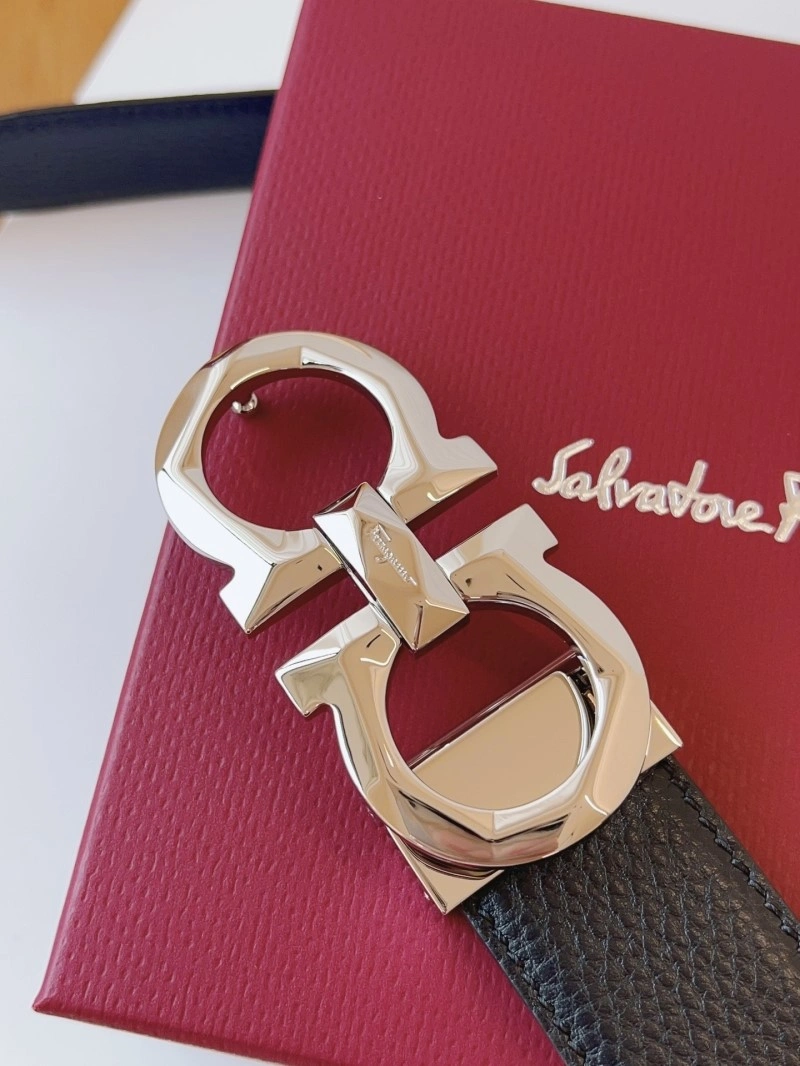 Ferragamo Belts MultiPurpose 288920