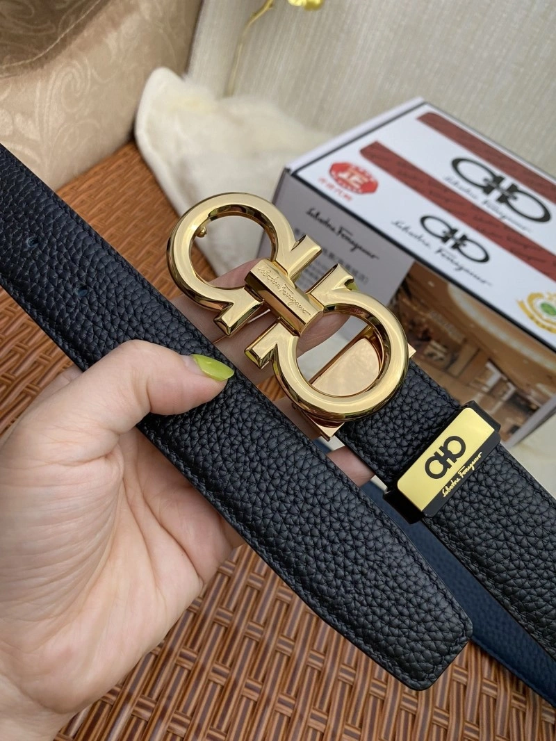 Refined Ferragamo Belts 288821