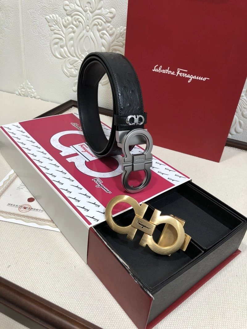 Snug Ferragamo Belts 288746