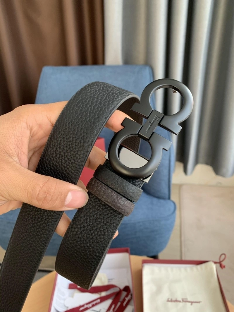 MultiPurpose Ferragamo Belts 288449