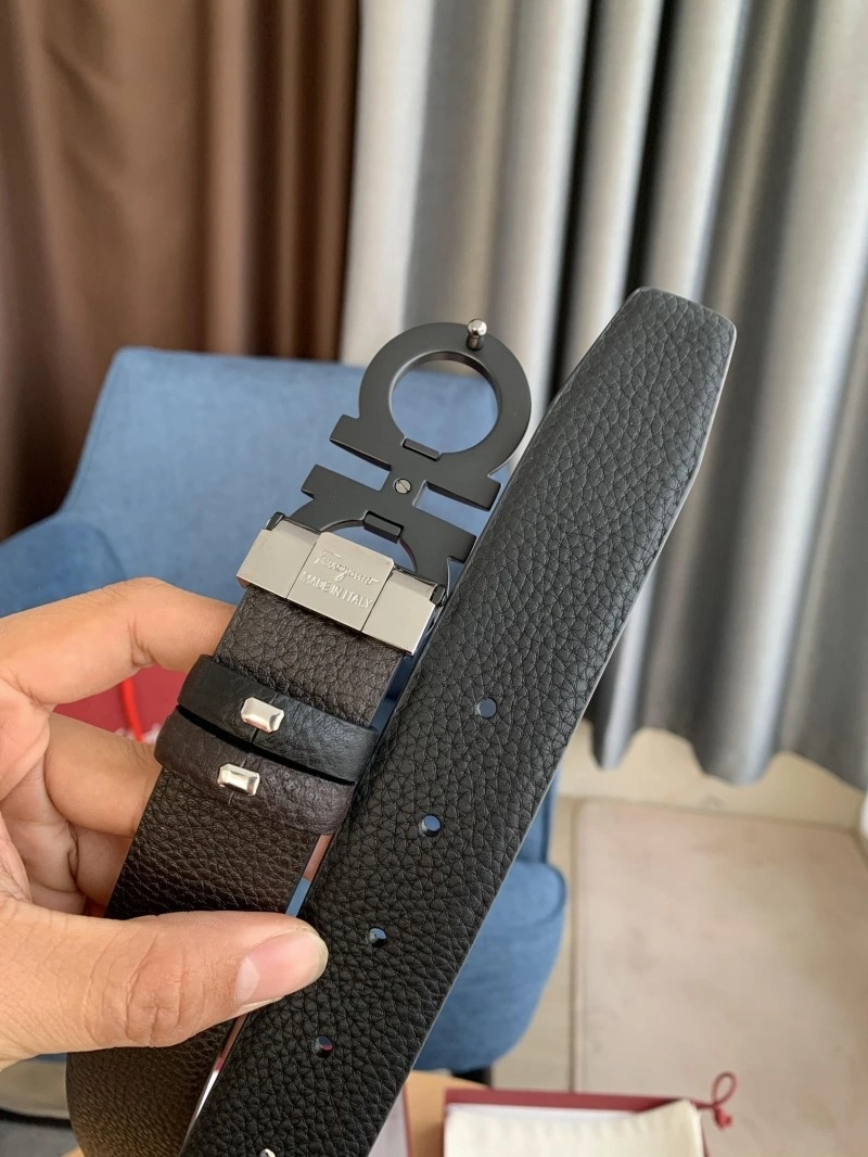 MultiPurpose Ferragamo Belts 288449