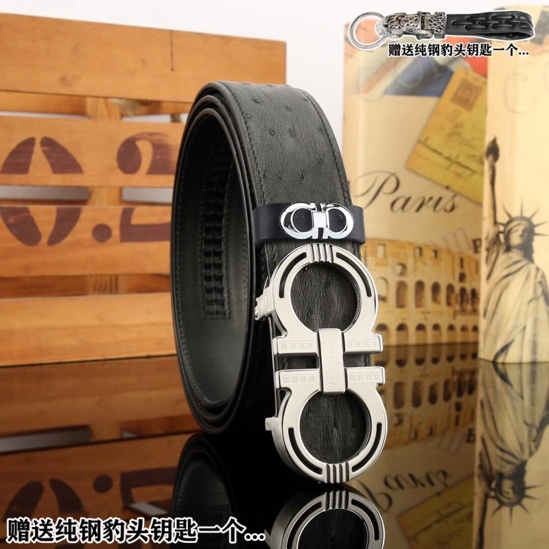 ZipUp Ferragamo Belts 288421