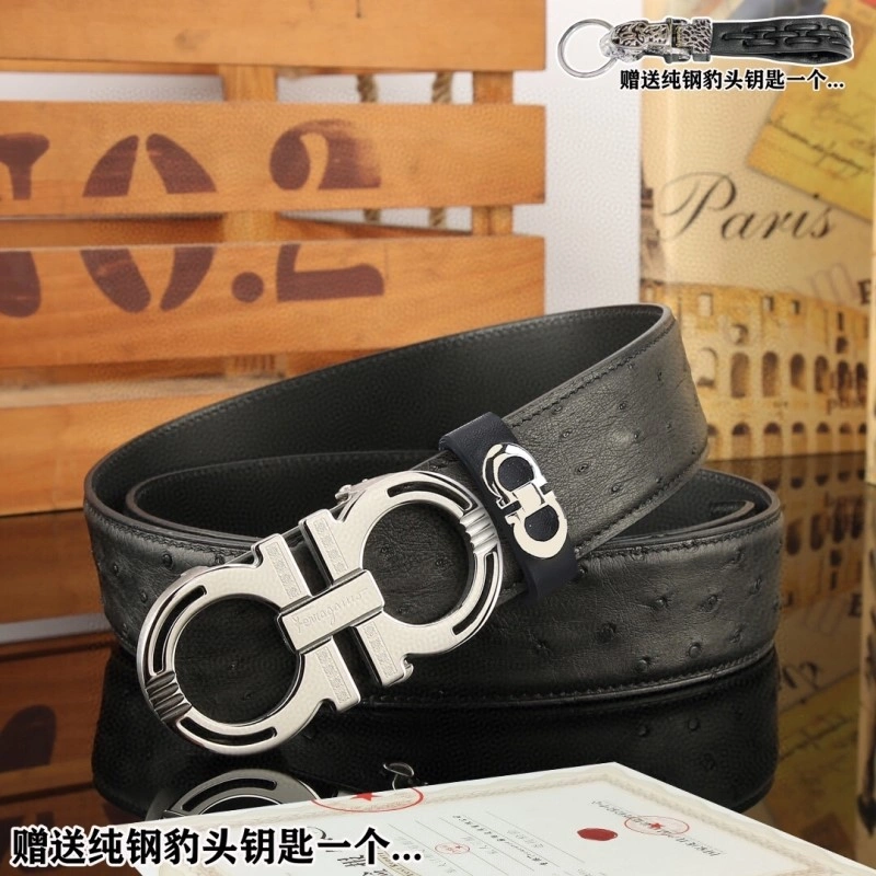 ZipUp Ferragamo Belts 288421