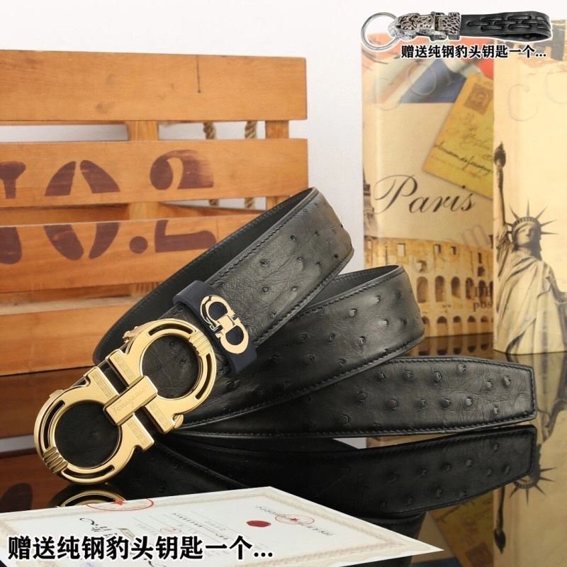 ZipUp Ferragamo Belts 288421