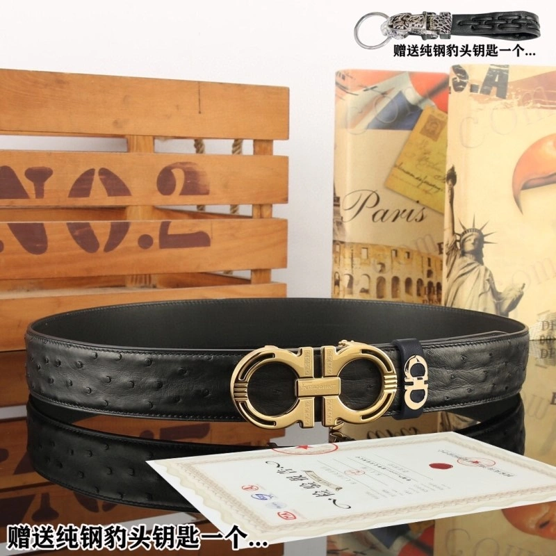 ZipUp Ferragamo Belts 288421