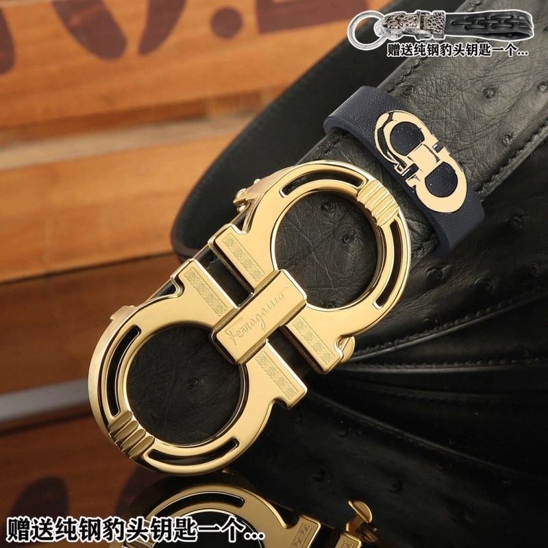 ZipUp Ferragamo Belts 288421