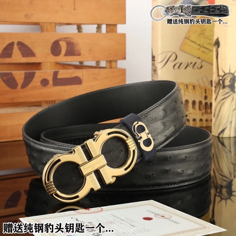 ZipUp Ferragamo Belts 288421