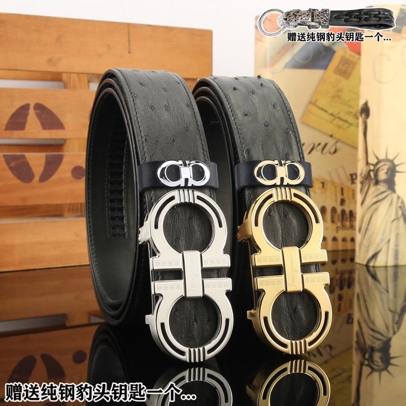 ZipUp Ferragamo Belts 288421