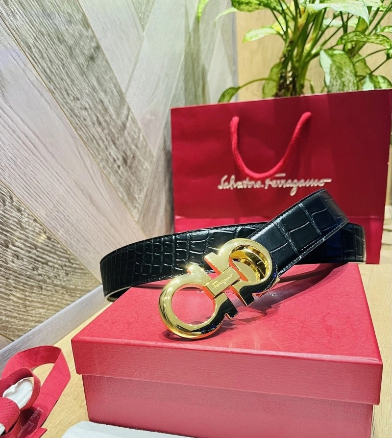 AllSeason Ferragamo Belts 288173