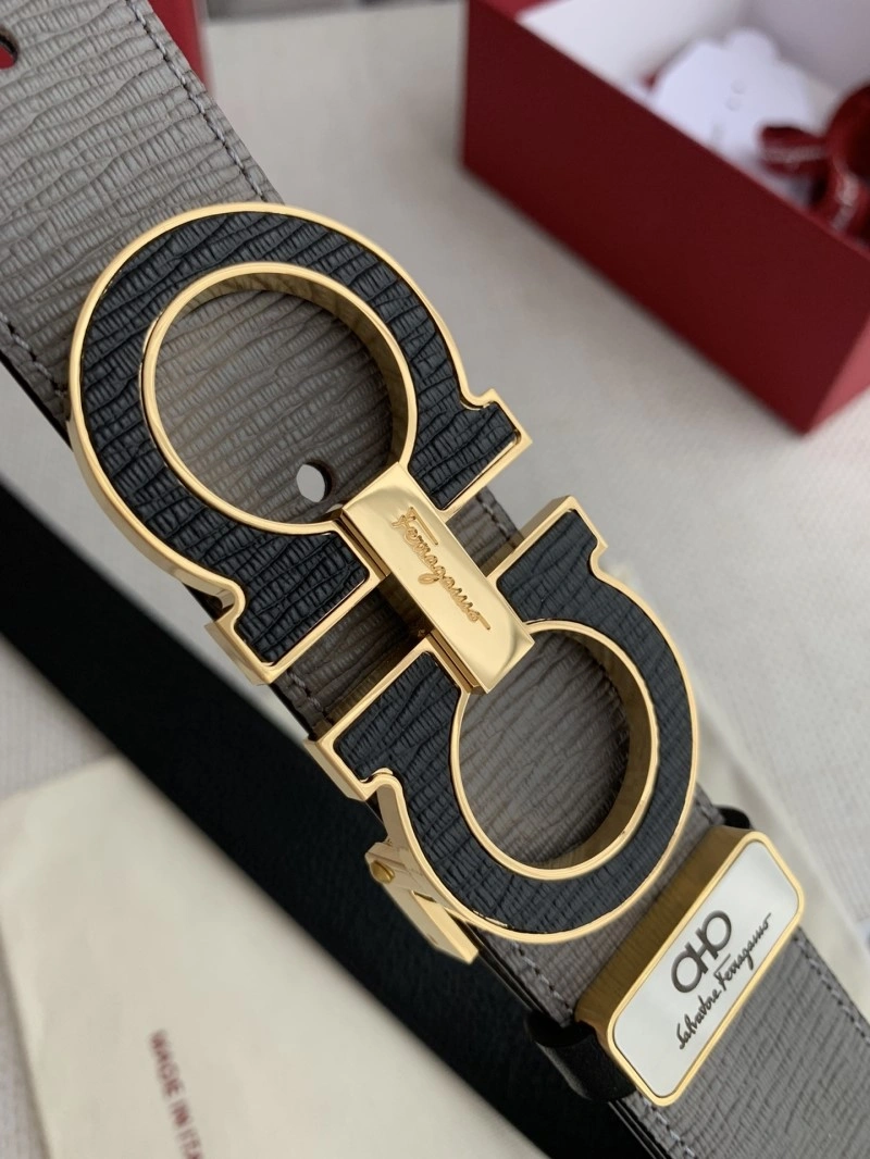 Ferragamo Belts Supportive 288144