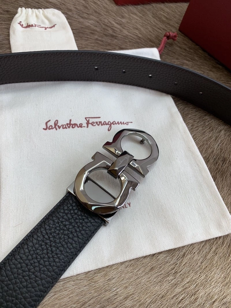 ZeroBulk Ferragamo Belts 287934