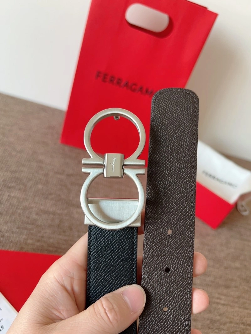 Ferragamo Belts MultiPurpose 287800