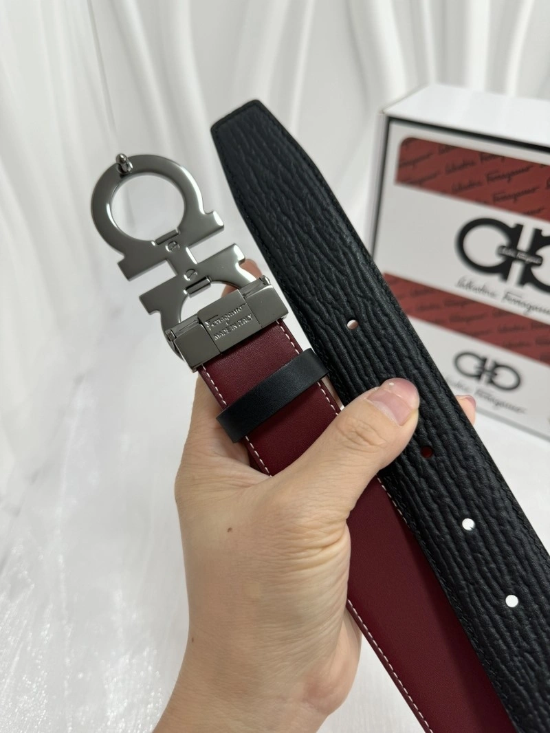 FreshLook Ferragamo Belts 287710