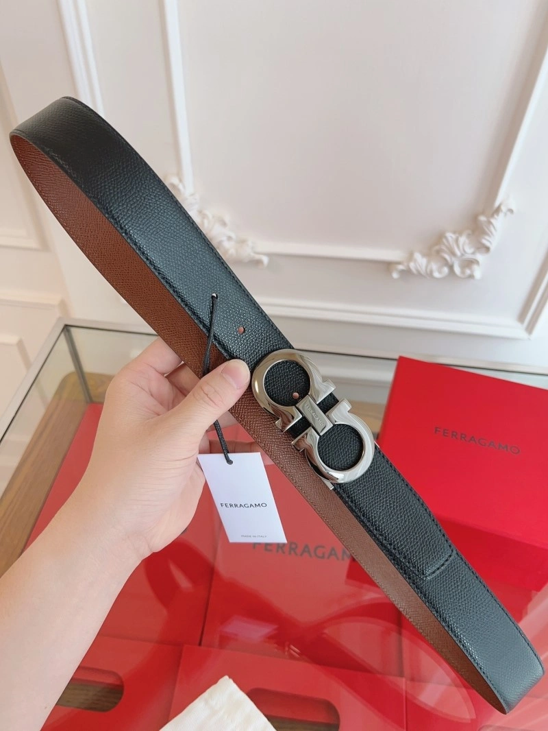 Compact Ferragamo Belts 287415