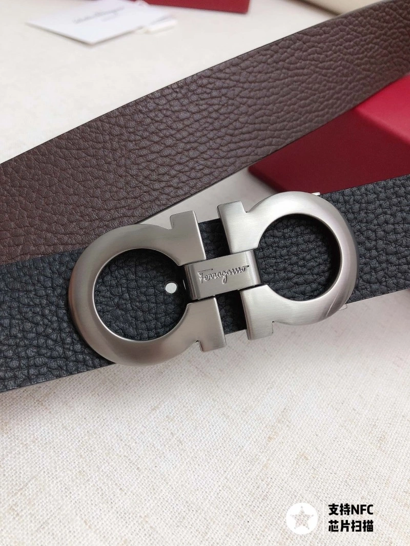MultiPurpose Ferragamo Belts 287231