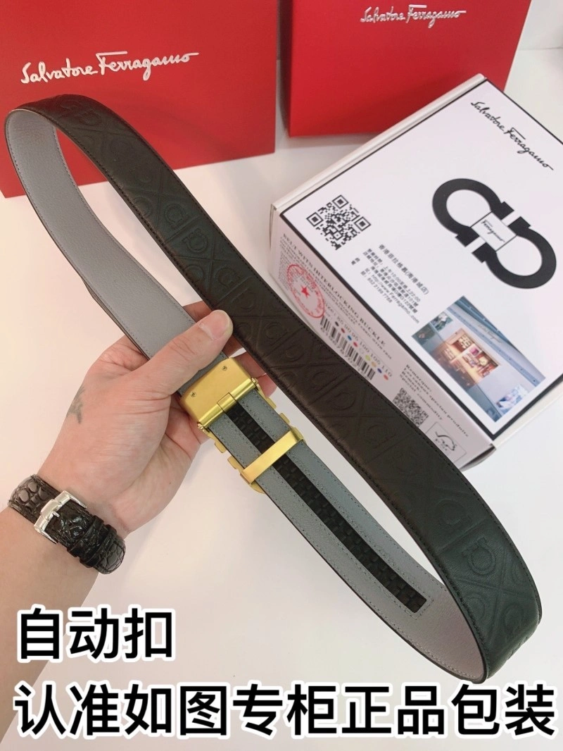 Ferragamo Belts DailyWear 287062
