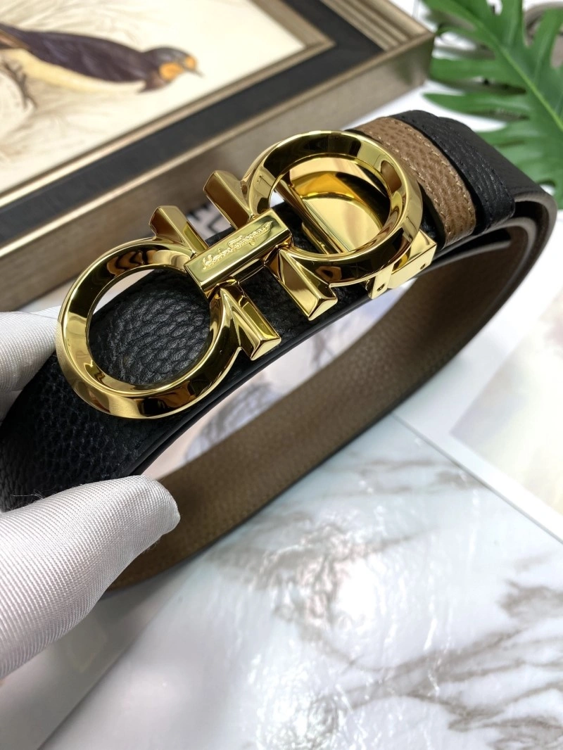 DailyWear Ferragamo Belts 286929