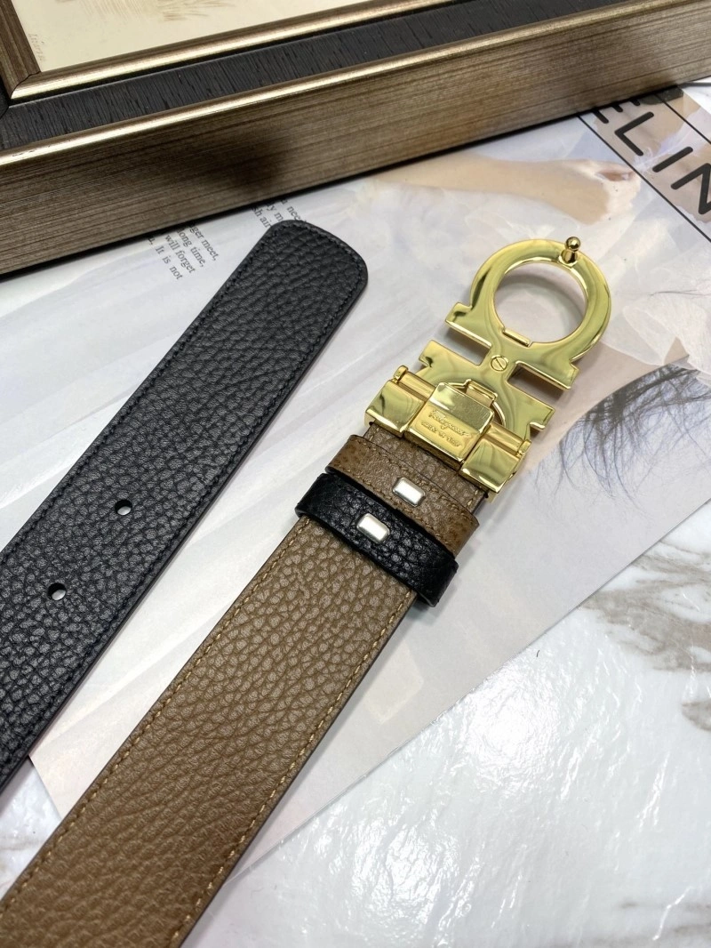 DailyWear Ferragamo Belts 286929