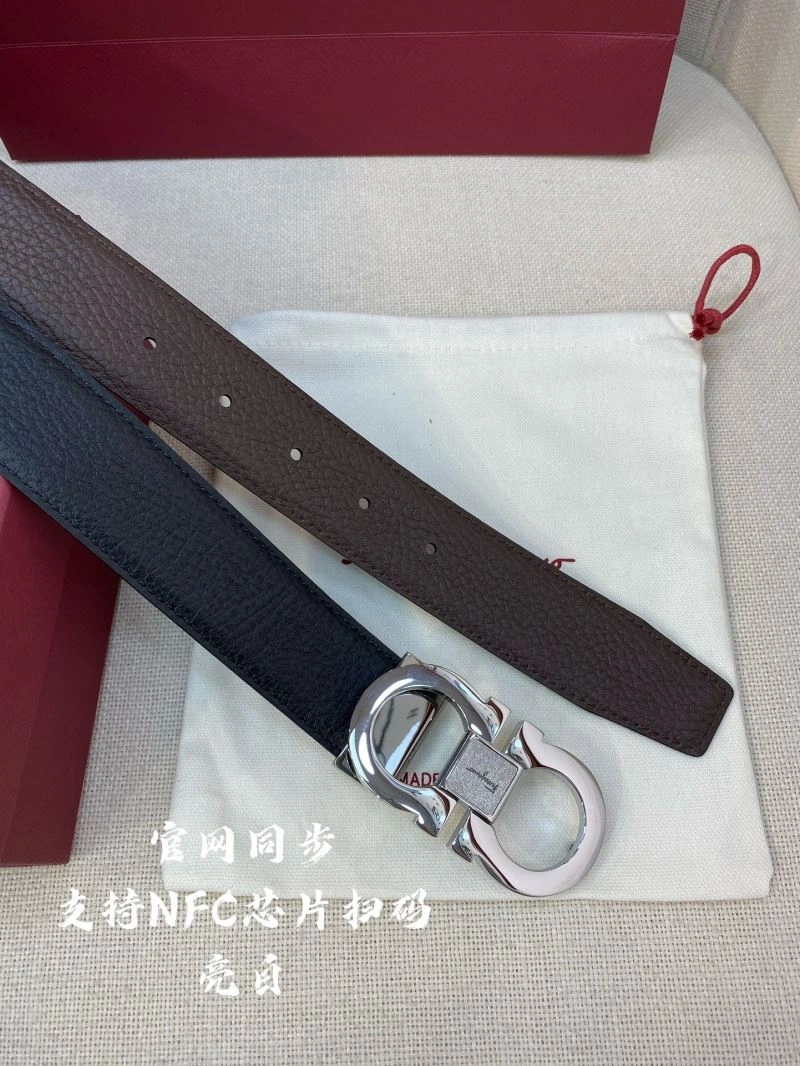 QuickDry Ferragamo Belts 289443