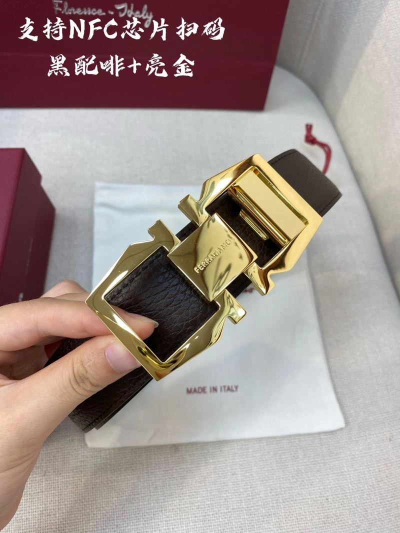 FreshLook Ferragamo Belts 289440