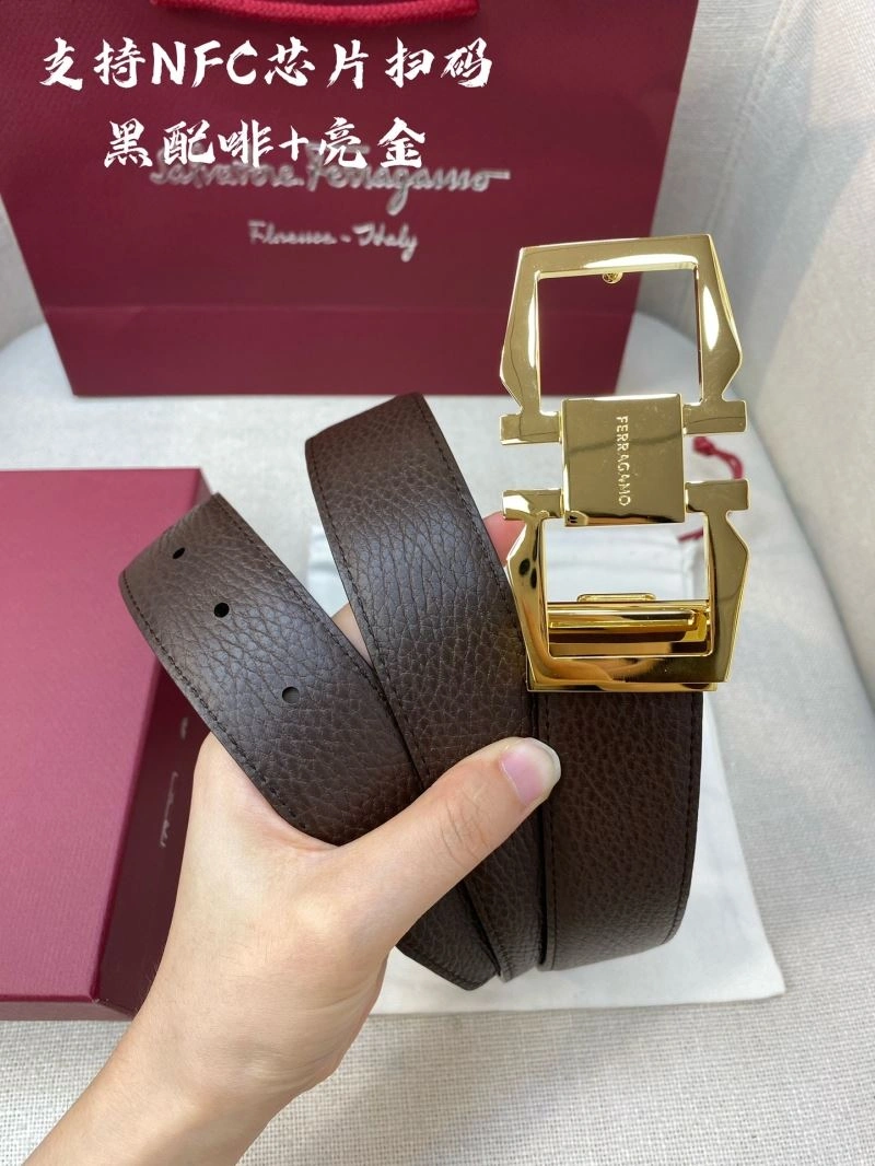 FreshLook Ferragamo Belts 289440
