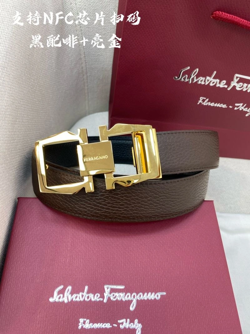 FreshLook Ferragamo Belts 289440