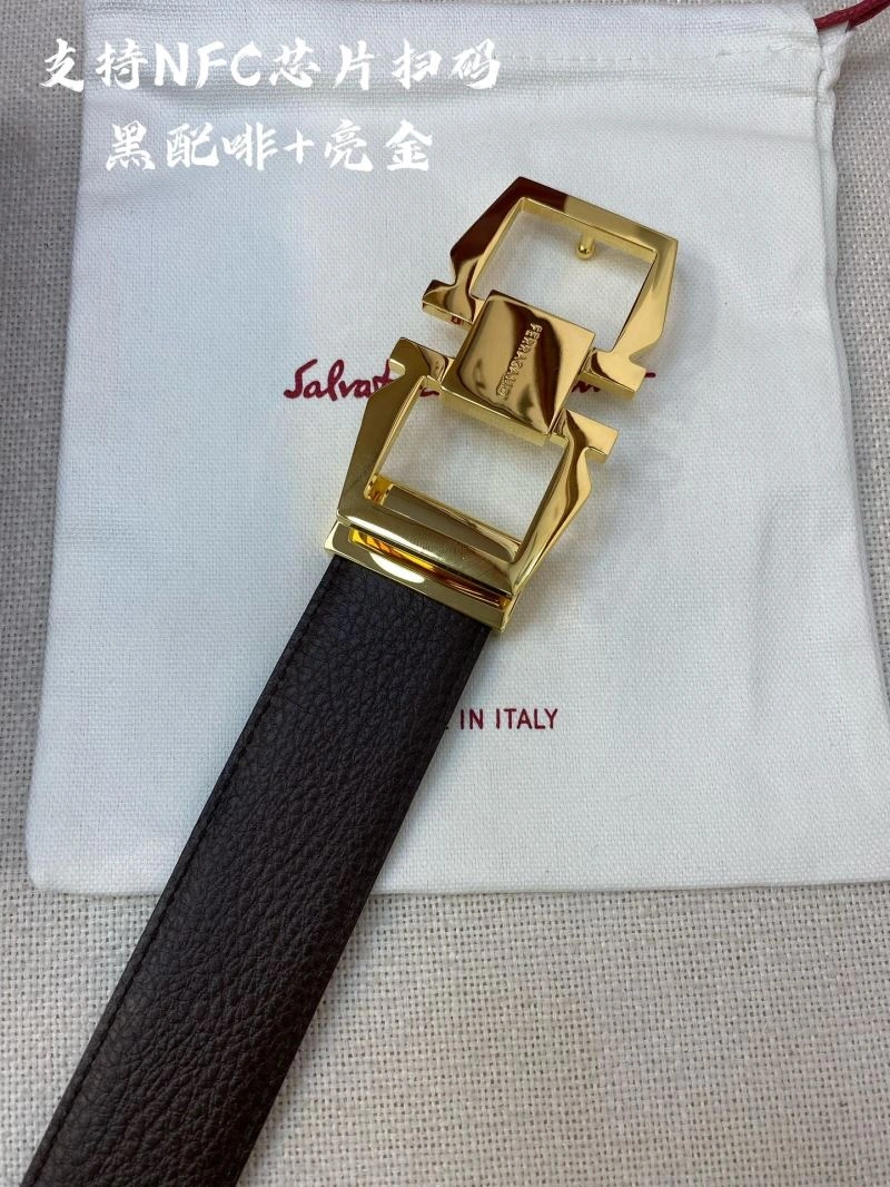 FreshLook Ferragamo Belts 289440