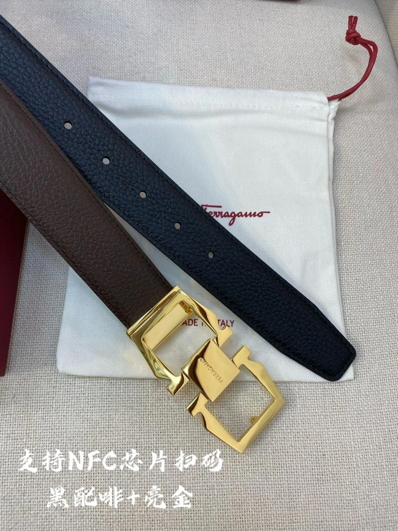 FreshLook Ferragamo Belts 289440