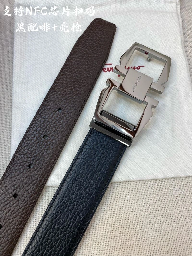 Ferragamo Belts Vibrant 289425
