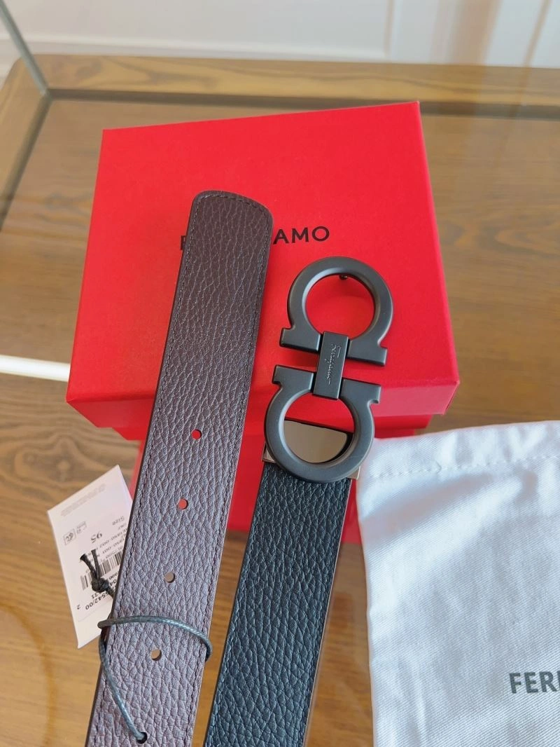 Ferragamo Belts MultiPurpose 289372