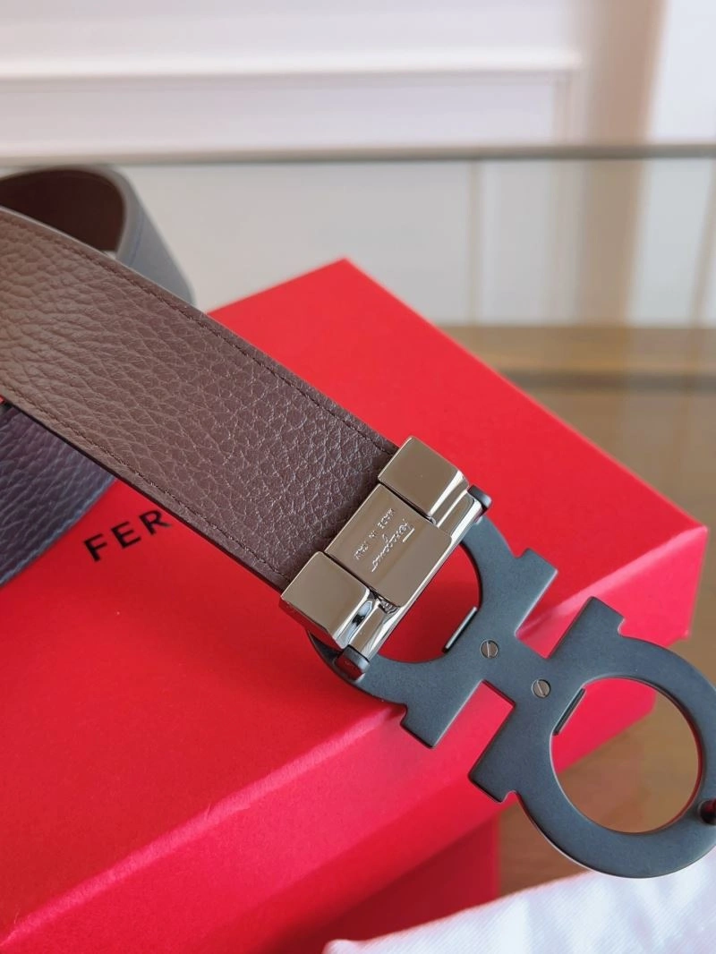 Ferragamo Belts MultiPurpose 289372