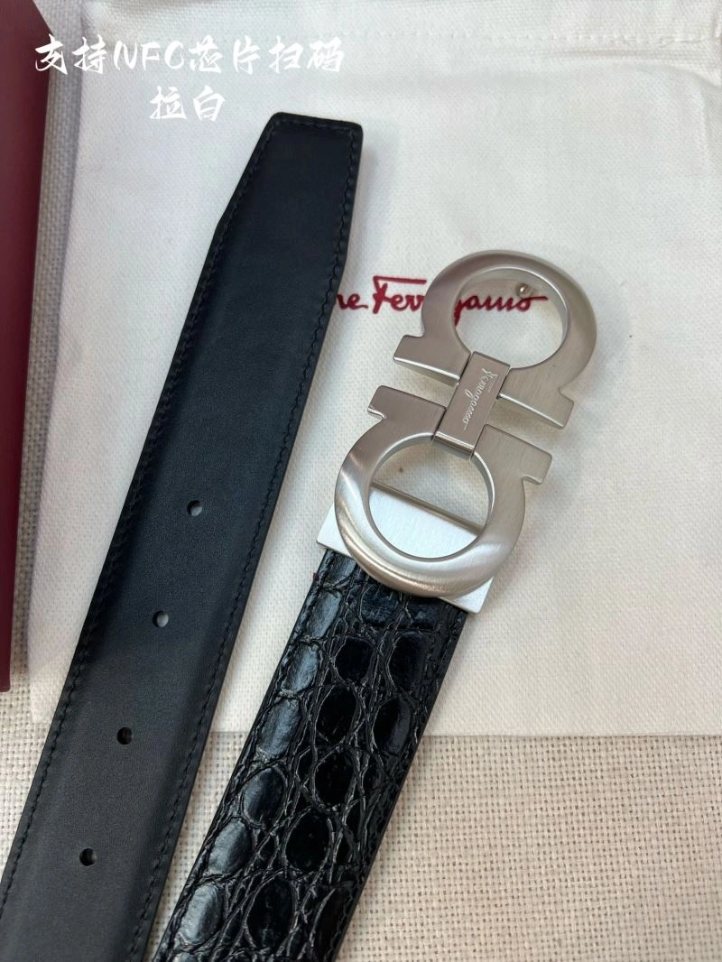 Resilient Ferragamo Belts 289172